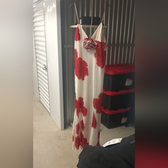 Zara Floral Print Dress - Picture 7 of 9